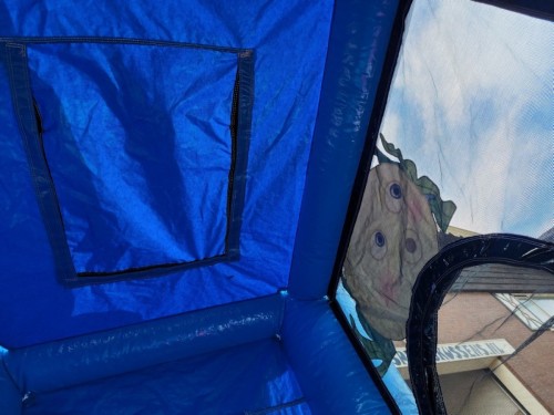 Springkussen Mini walvis met slide